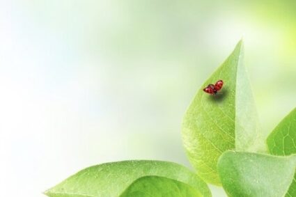 AGRO – OMEOPATIA SISTEMICA: la nuova frontiera verde dell’agricoltura