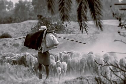 Le prime agricoltrici del mondo – la scienza riscrive il ruolo femminile nella rivoluzione agricola