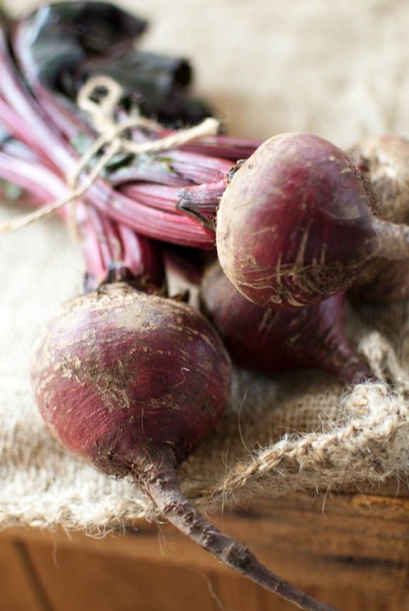 BARBABIETOLA ROSSA